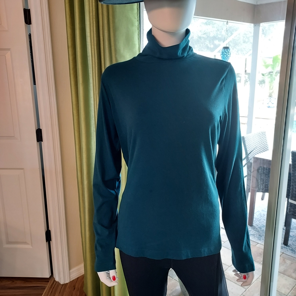 Banana Republic Teal Long Sleeve Turtleneck.